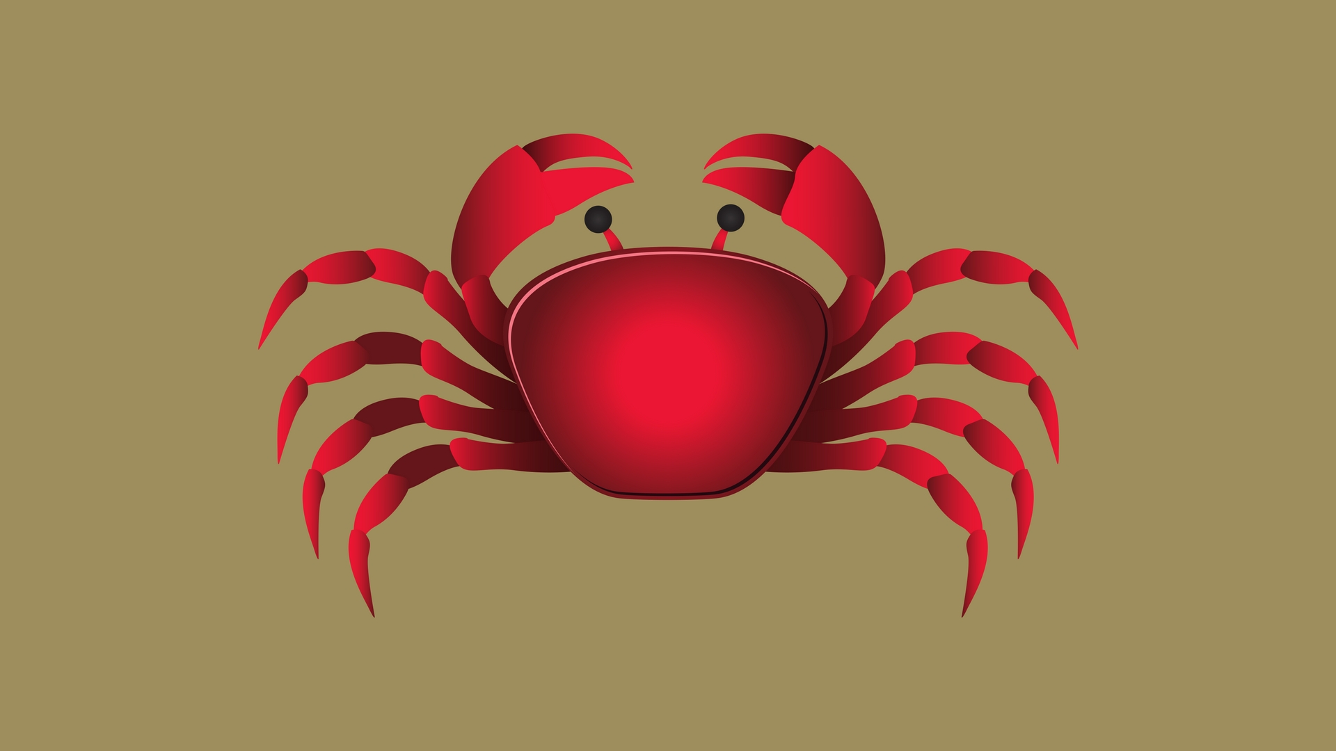 Scientists describe a new genus and 6 new freshwater crab species in Kerala